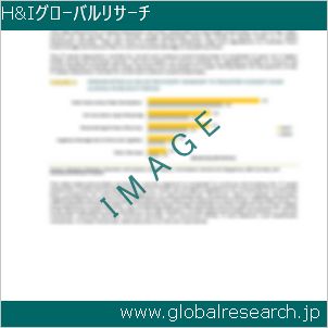 グローバルリサーチ調査レポートのイメージ